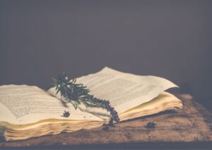 Book Review at bookspoetryandmore.com